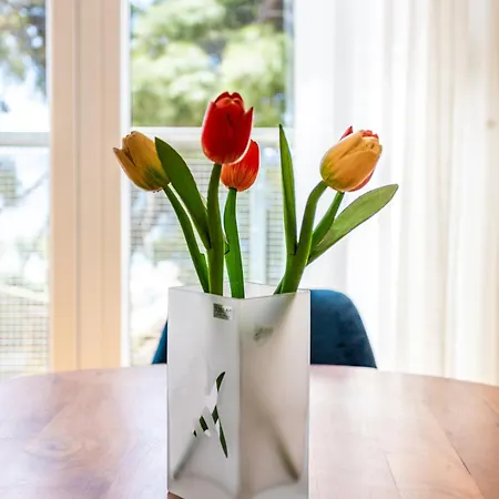 Apartman Azure Horizon