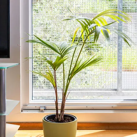 Azure Horizon Spalato